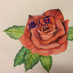 操人妖