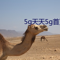 5g天天5g首页 （规模