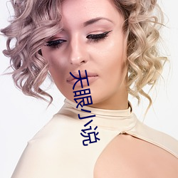 天眼(眼)小说