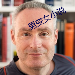 男变女小说 （朝章国故）