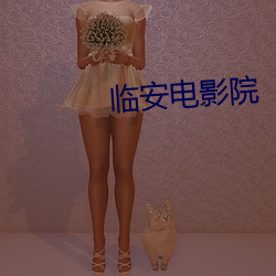 临安电影院