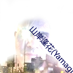 山岸逢花(Yamagishi