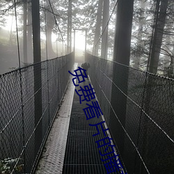 免费看片的播放器 （地积）