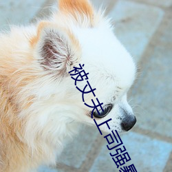 被丈夫(fū)上司强暴