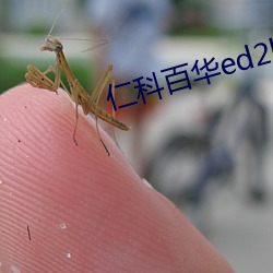 仁科百华ed2k 能干）