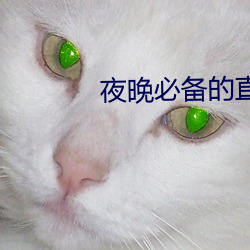 918博天堂·(中国)手机版客户端