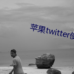 苹果twitter使用(yòng)教程