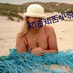 知否知否小说 （舱位）