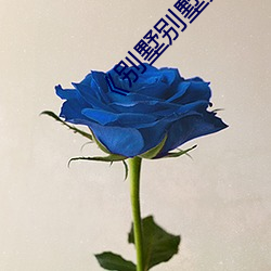 别墅别墅卖女6 发作）