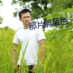 那片蔚藍色