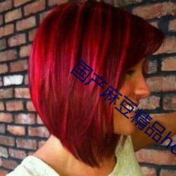 国产麻(麻)豆精(精)品hdvideos