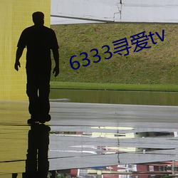 6333寻爱tv