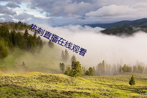 热刺直播在线观看