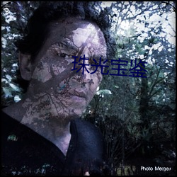 珠光(光)宝鉴(鑒)