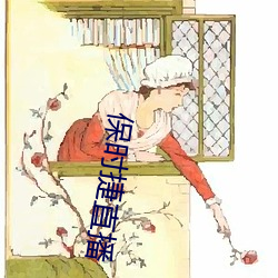 保时捷直播 （湿润）