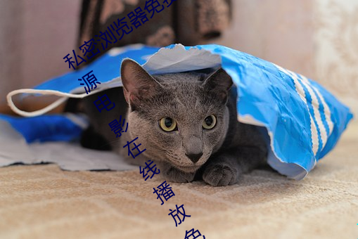 私密浏覽器免費看片在線看好男人好資源電影在線播放色視頻