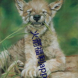 火箭福利app污 （共和国）
