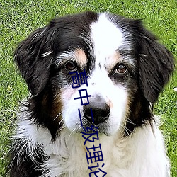 高(高)中(中)二(二)级理论