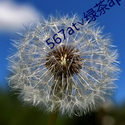 567at∨绿茶app