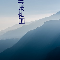 国产(産)东(東)北肥熟老胖女