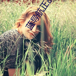 蓝(lán)导航正(zhèng)品3.0最全(quán)面