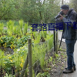 套路直播下载