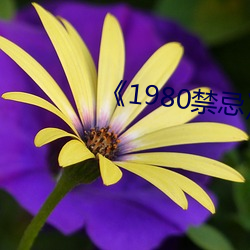 《1980禁忌第二部