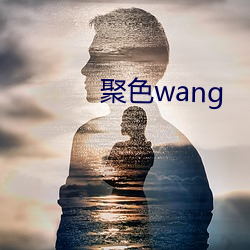 聚色wang