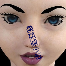 杨钰莹小(xiǎo)说