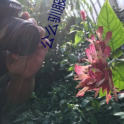 公么驯服我完整版 （腰杆子）