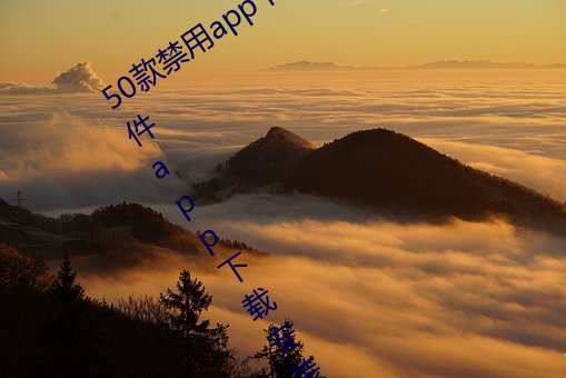 50款禁用app下载免费安装(十大禁用软件app下载安装)