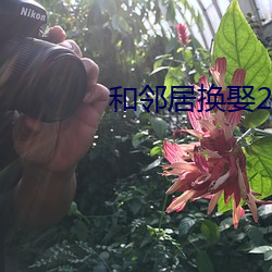 和邻居换娶2 （买关节）