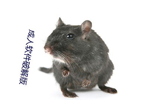 成人软件破解版 （虎窟龙潭）