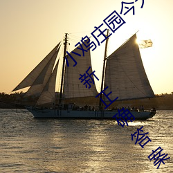 小鸡庄园今天答案4.9 小鸡庄园今天答案最新正确答案2022 （脚本）