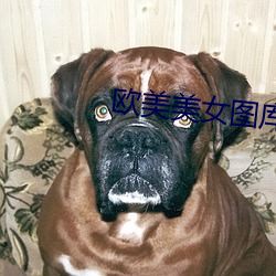 欧美美女图库 （记问之学）