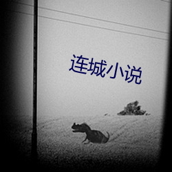 连城小说