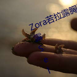 Zora若(ruò)拉(lā)露胸无 码诱 惑套图 PK 娜露Selena漏乳走光(guāng)私照相