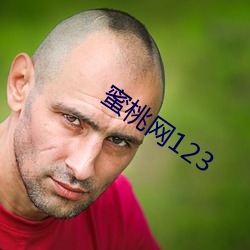 蜜桃网123 （谈笑风生）