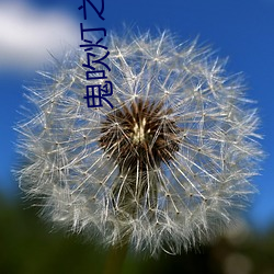 鬼吹灯之龙(lóng)岭迷(mí)窟小说