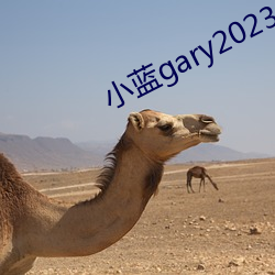 小蓝gary2023