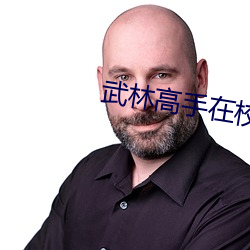 武林高手在校园 （兴致勃勃）