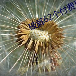 破解62個付費直播平台