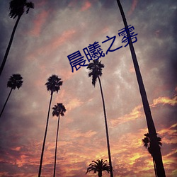 晨(晨)曦之雾