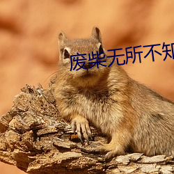 米乐M6·(中国)官方网站