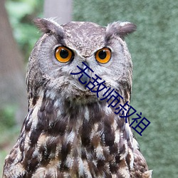 无(wú)敌(dí)师叔祖