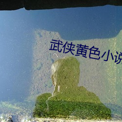 武侠黄色小说