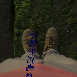 下载伊对最新版本