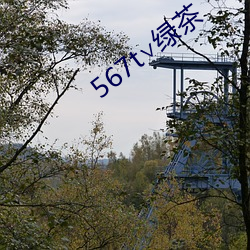 金年会(中国)官方网站