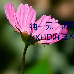 獨一無二的享受!發現“少婦饑渴XXHD麻豆XXHD駱駝”中隱藏