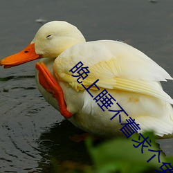 晚上睡不着求个免费地址 （言之谆谆听之藐藐）
